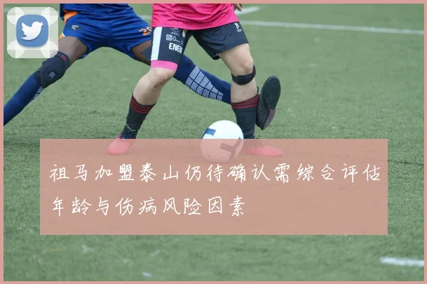 祖马加盟泰山仍待确认需综合评估年龄与伤病风险因素